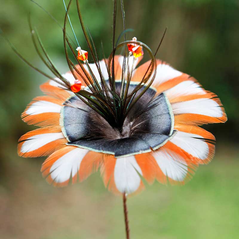 FLEUR-Tragopan-bis