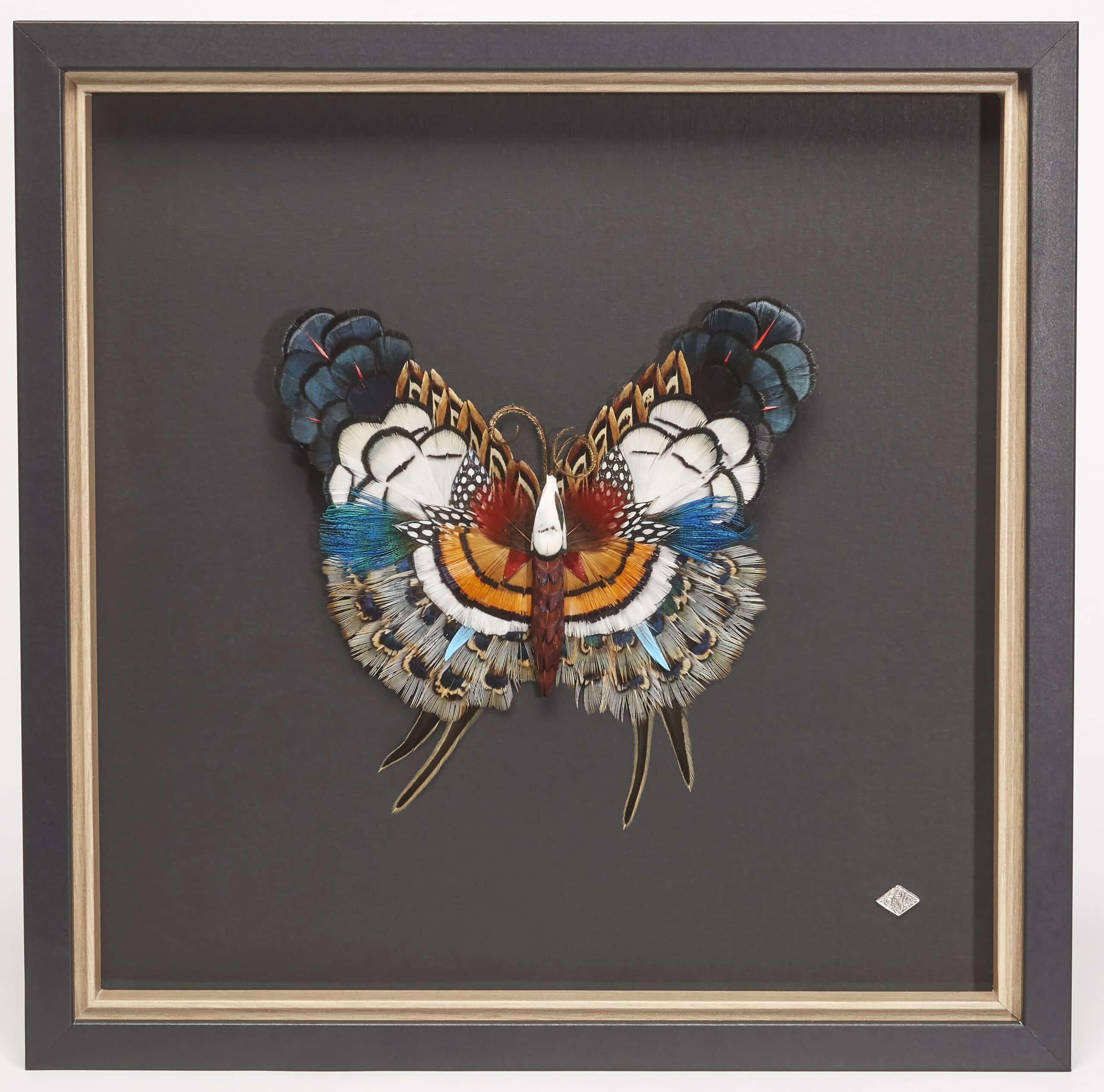 tableau_plumes