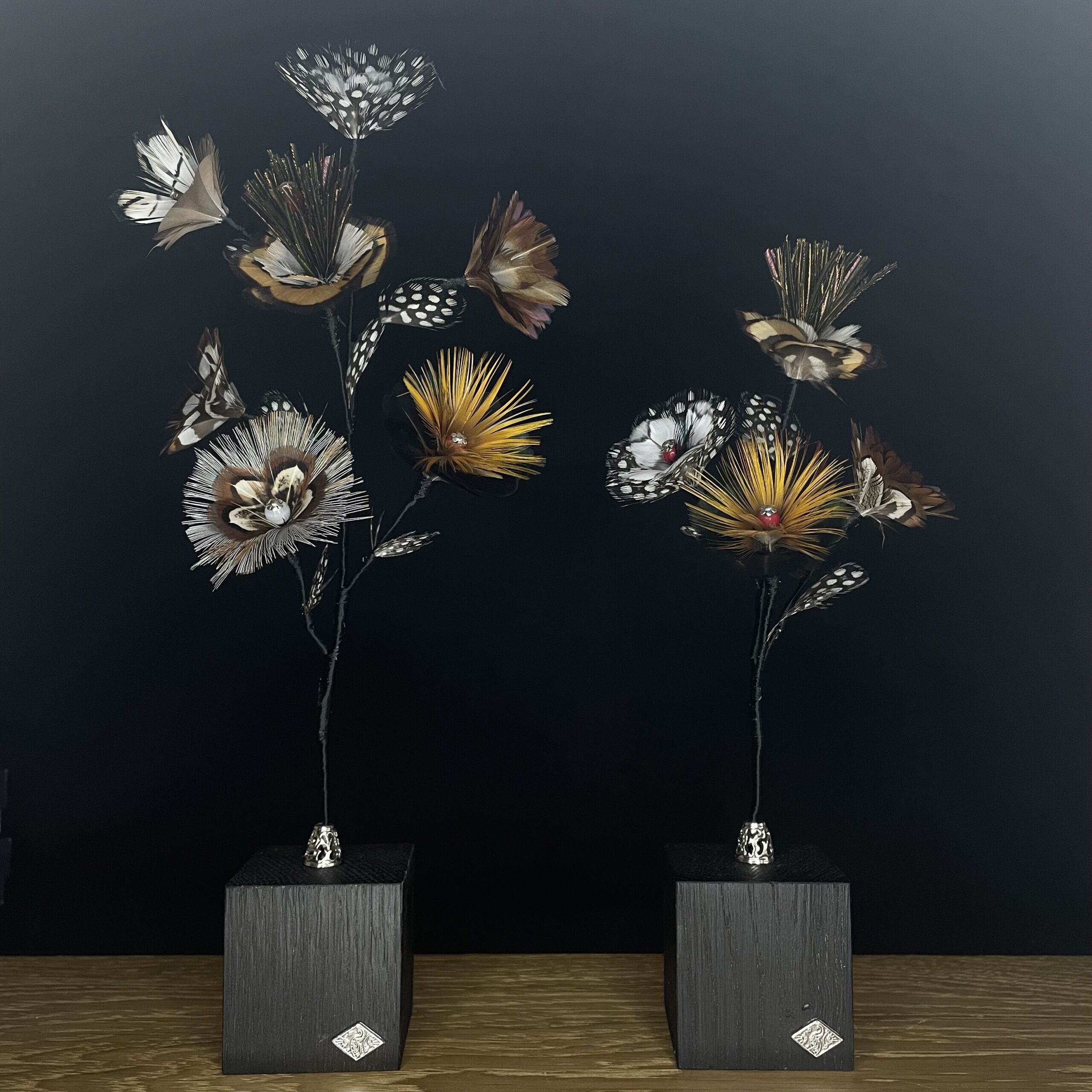fleurs-de-plumes